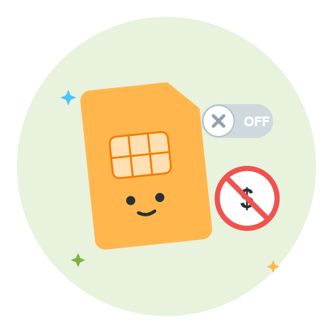 primary SIM off