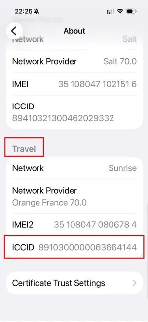 ICCID in About