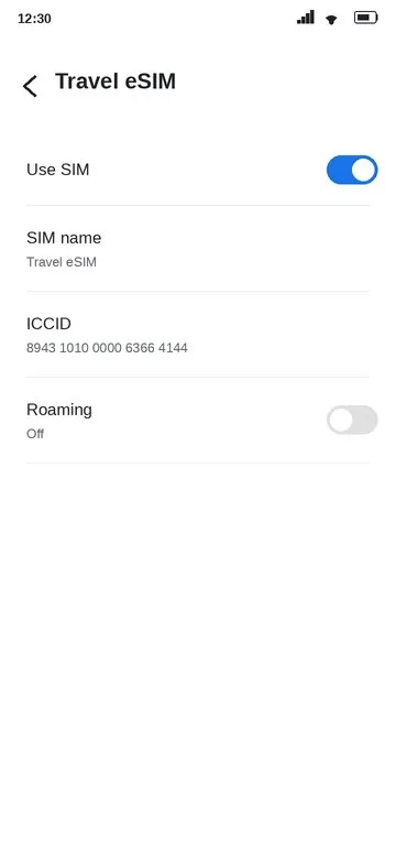 eSIM ICCID